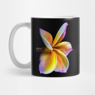 plumeria-flowers-frangipani-floral-awesome-bossom-shirtyshirto-39 Mug